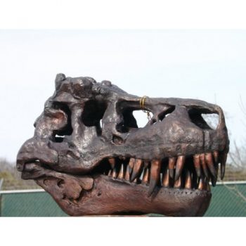 Záhradní bronzová socha - Lebka tyranosaura rexe