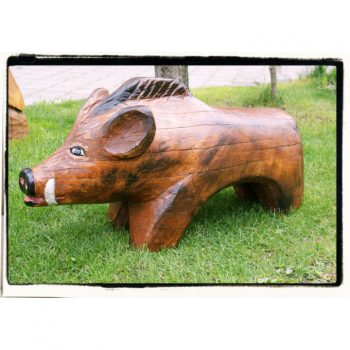 Dřevěný divočák