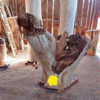 Dřevěný Medvídek a orel