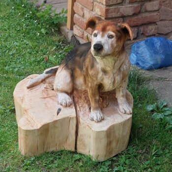 Dřevěný pes - Bígl