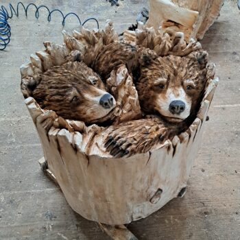 Medvědi v dutině stromu