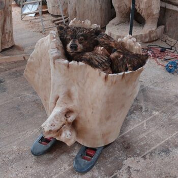 Medvídci v dutině stromu