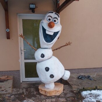 Olaf -socha