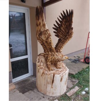 Přistávající orel