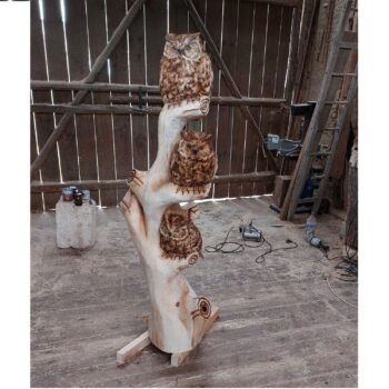 Tři sovy na stromě